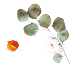 floating_image_07 https://ximena-angelique.click/wp-content/uploads/2020/10/floating_image_07.png